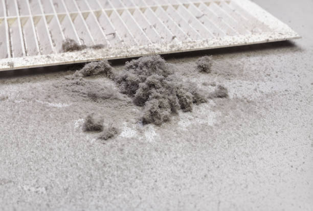 Best Affordable Duct Cleaning Services  in Clio, AL