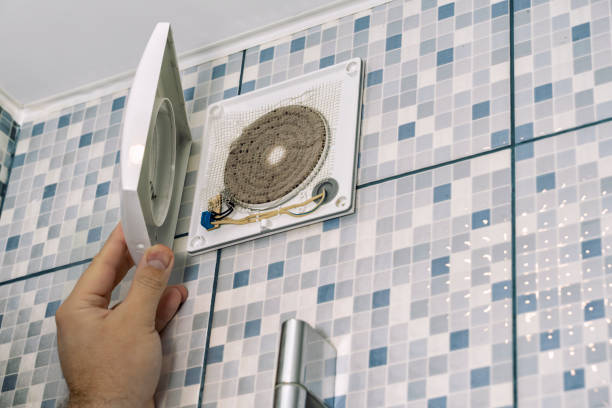 Best Home Air Vent Cleaning  in Clio, AL