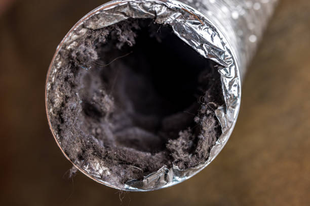 Best Residential Air Duct Cleaning  in Clio, AL
