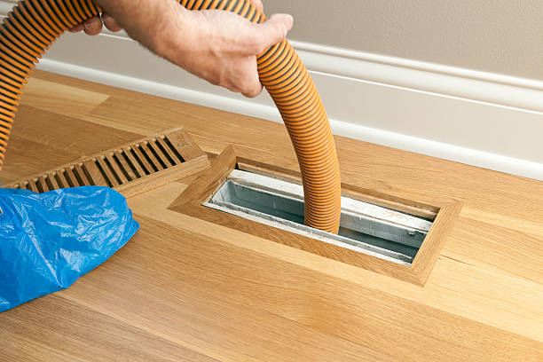 Best Home Air Vent Cleaning  in Clio, AL