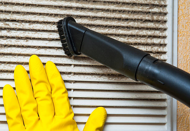 Best Local Air Duct Cleaning Services  in Clio, AL